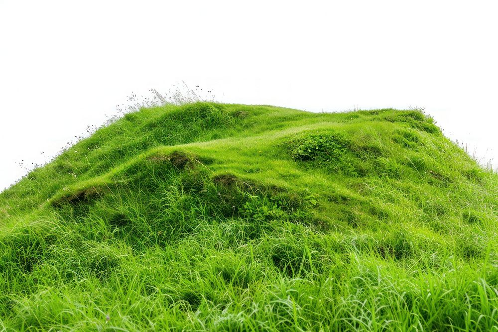 Nature hill grassland landscape.