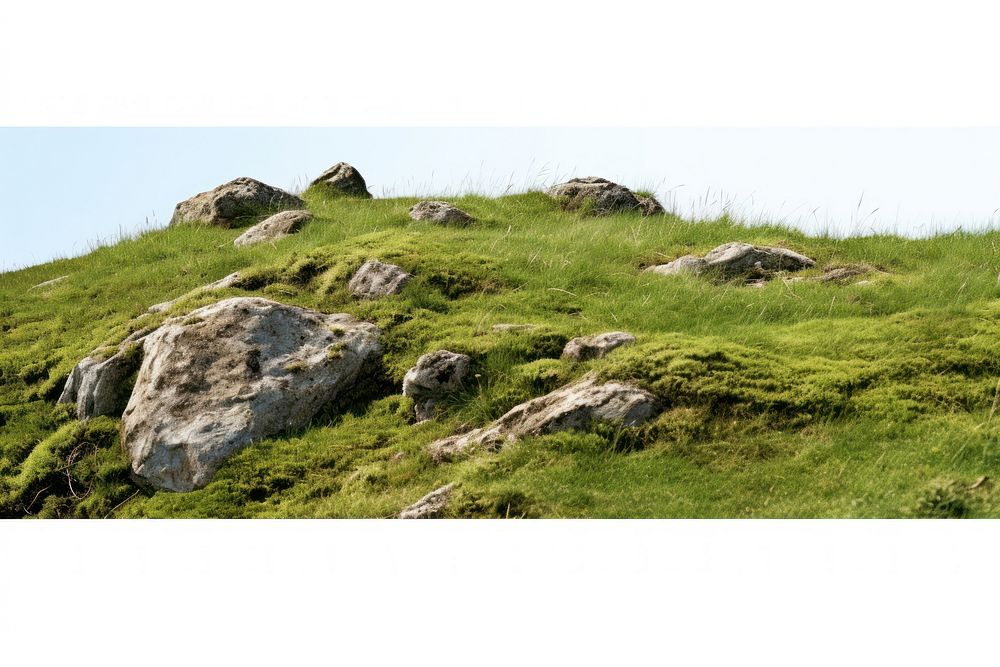 Grass rock hill vegetation.