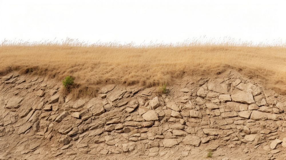 PNG Hilly dry grass fields backgrounds outdoors nature.