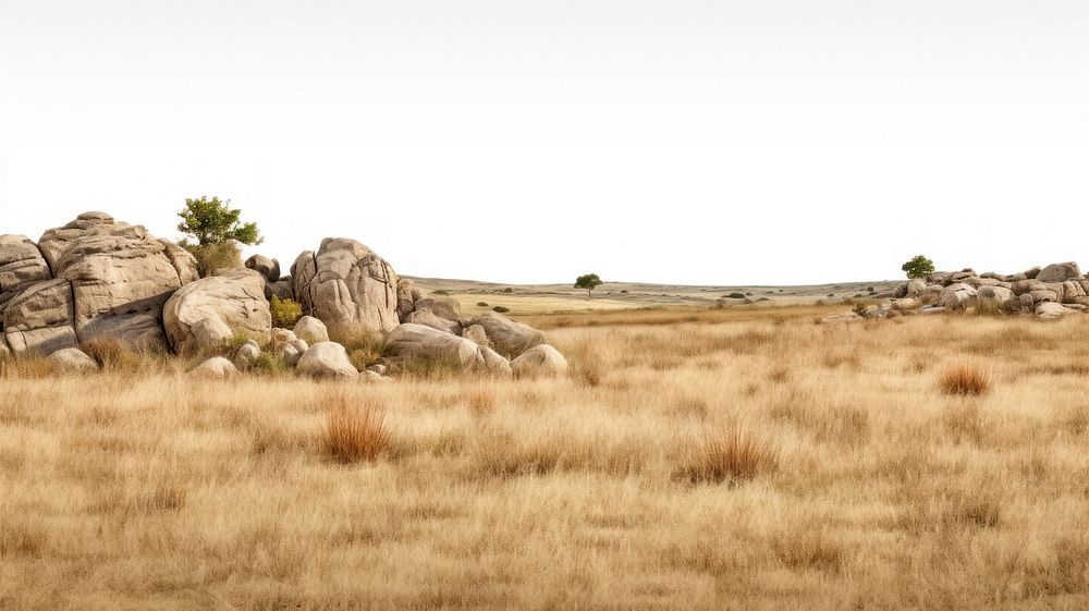 Rocky hilly dry grassfields landscape grassland outdoors.