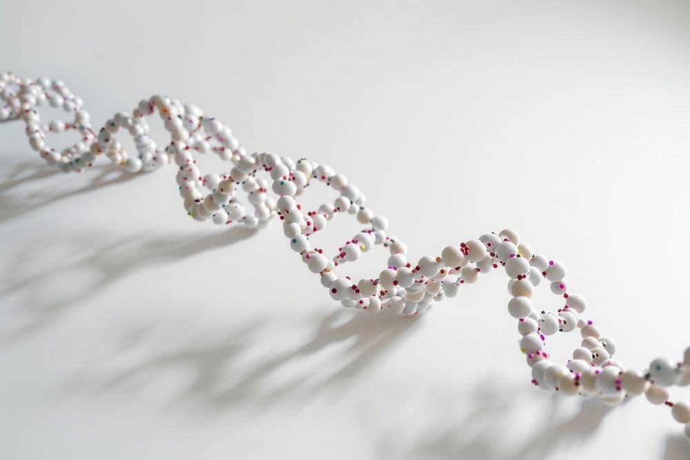 DNA jewelry bead accessories.