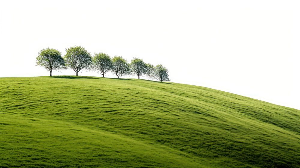 PNG Spring hills landscape grassland outdoors.