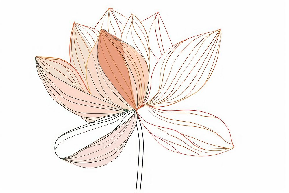 Single line drawing lotus pattern flower sketch.