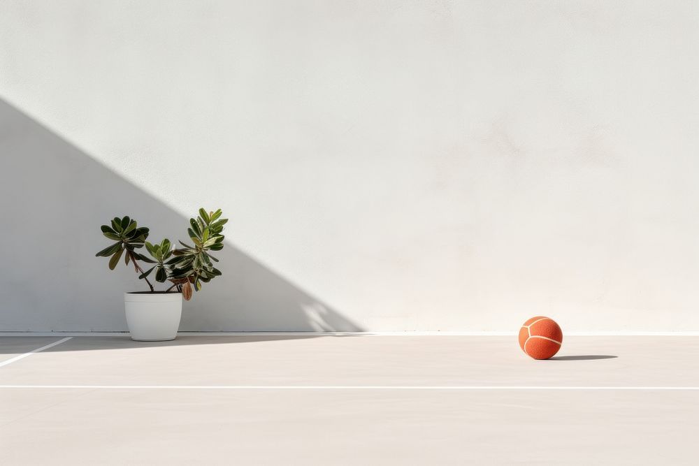 A tennis court wall architecture basketball.