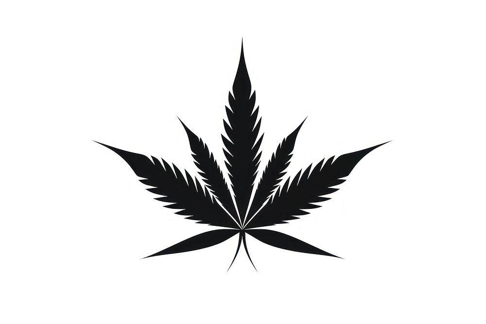 Cannabis leaf plant black white background.
