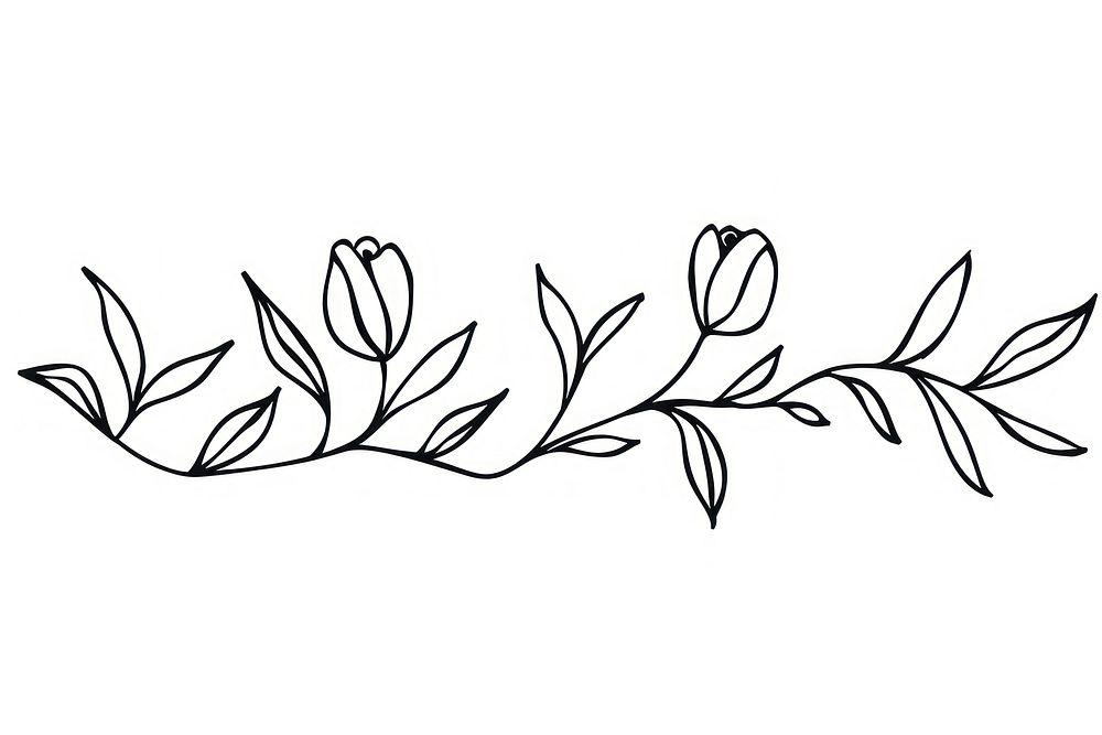 Divider doodle tulip pattern drawing sketch.