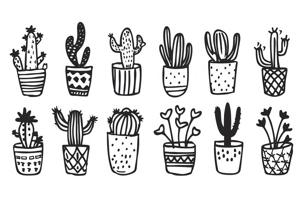 Divider doodle boder cactus drawing sketch line.