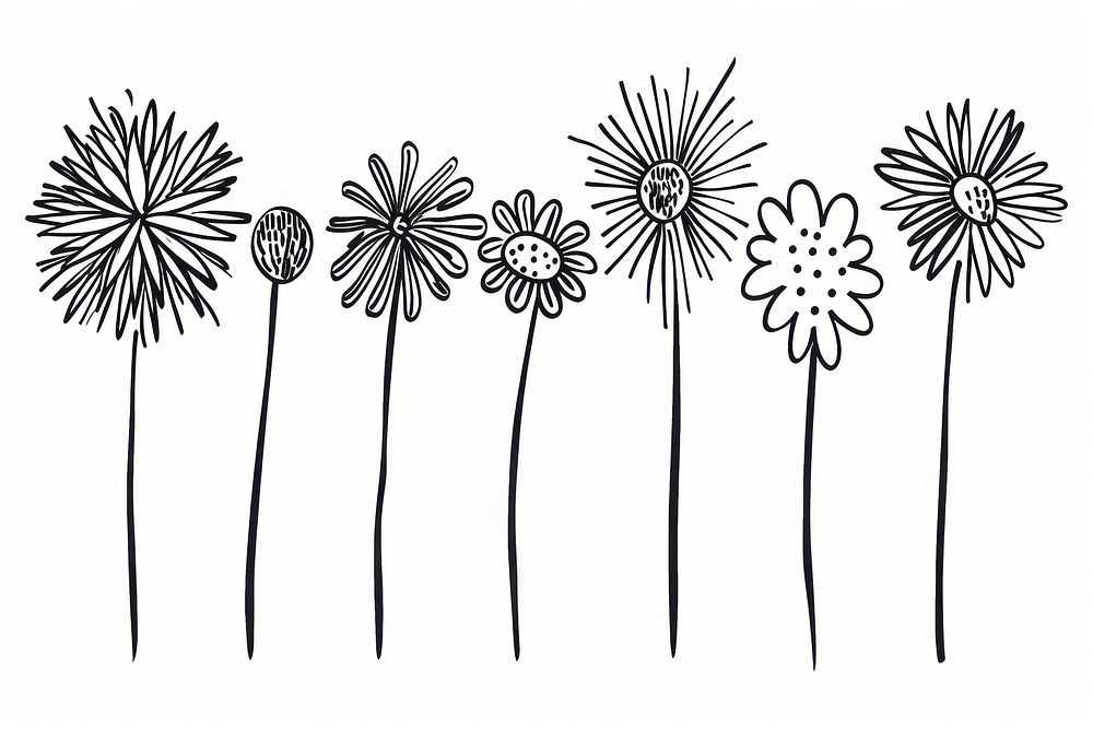 Divider doodle boder fireworks drawing sketch flower.