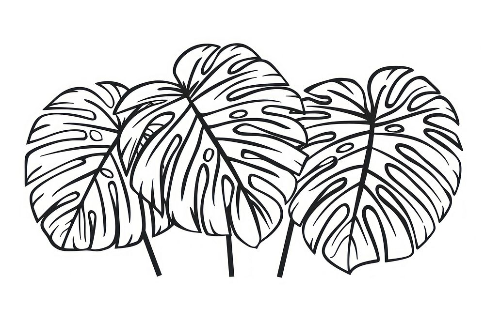 Divider doodle palm leaves drawing sketch plant.