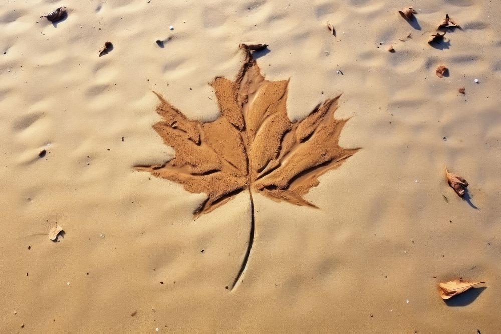 Shape doodle finger-drawing leaf outdoors nature.