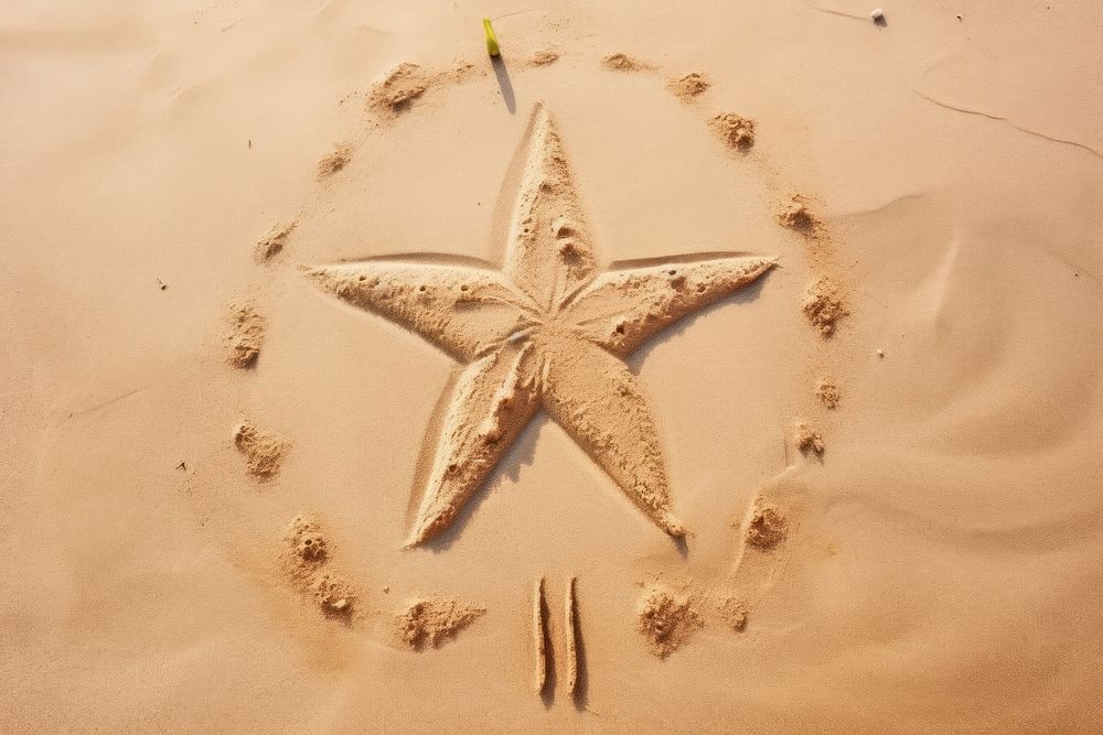 Star shape doodle finger-drawing outdoors nature sand.