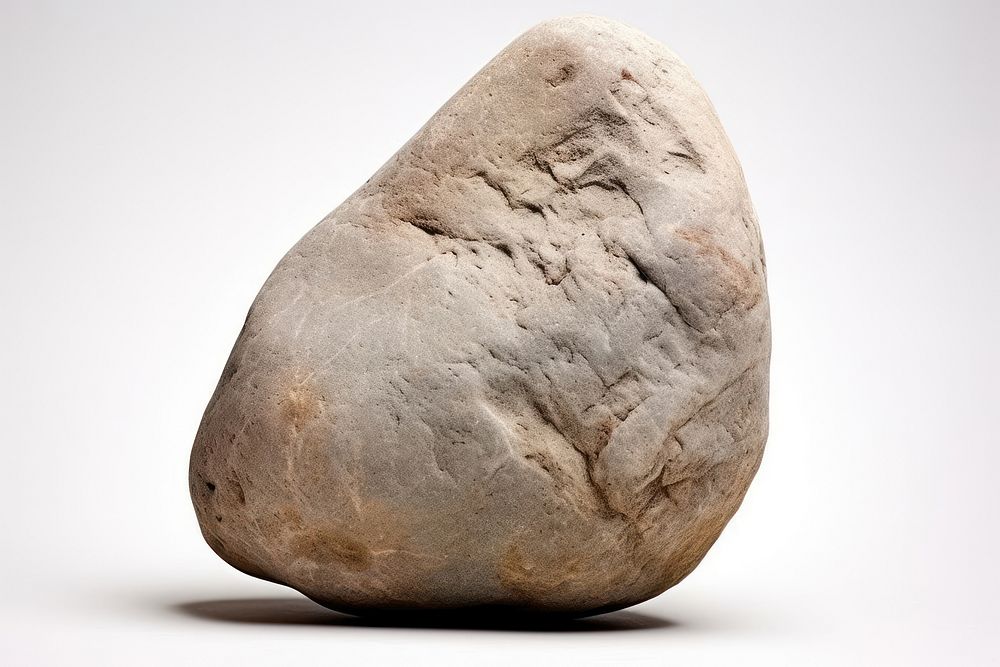 Stone mineral rock paleontology.
