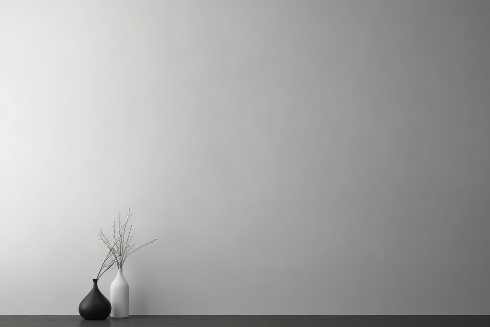Living room minimalism architecture plant vase.