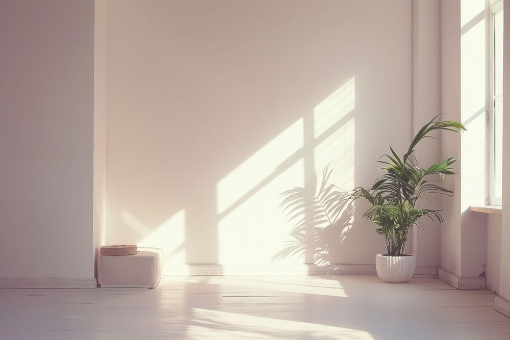 Living room minimalism windowsill flooring plant.
