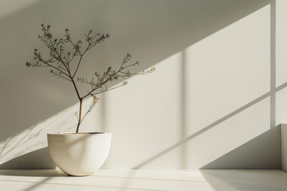 Living room minimalism architecture flower window.
