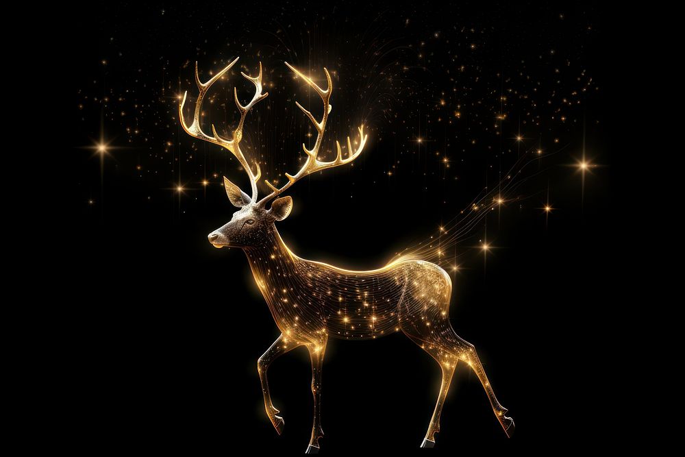 The Constellation outlines of deer wildlife animal mammal.