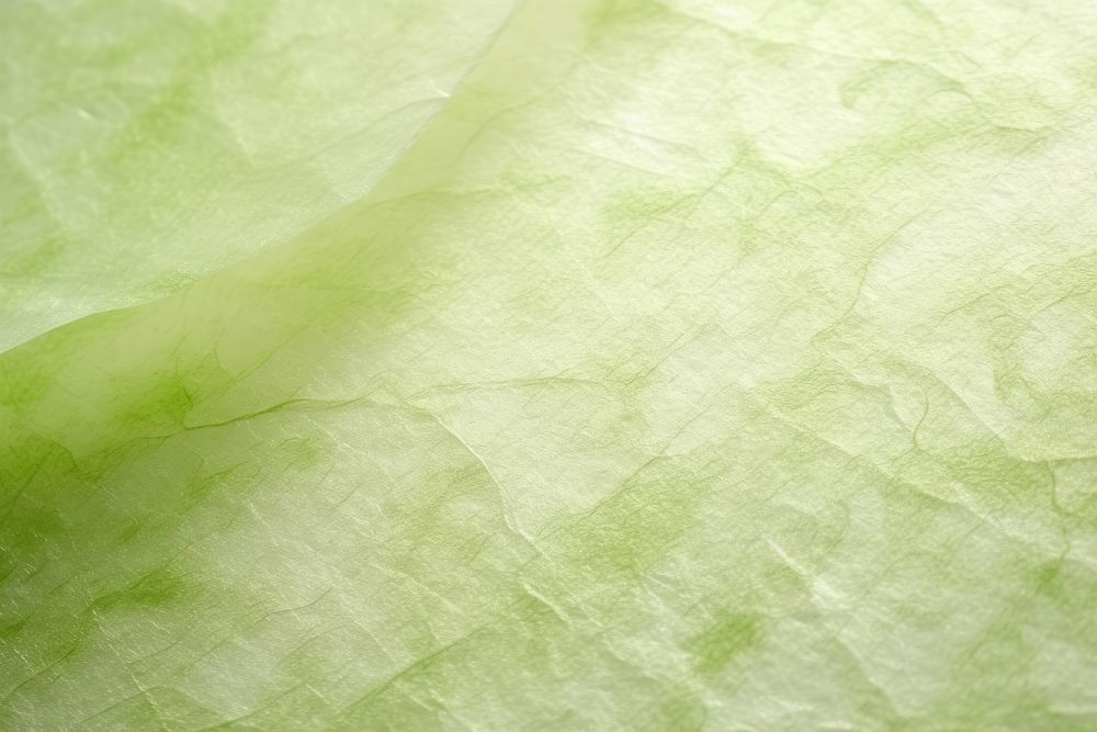 Green fibre mulberry paper petal backgrounds textured.