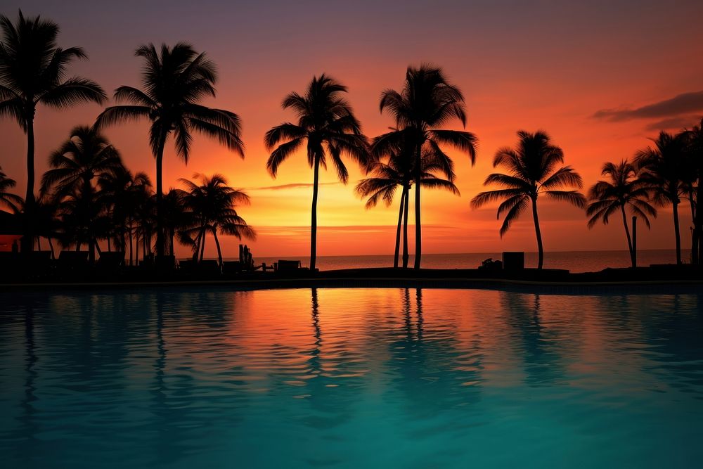 Tropical resort swimming pool tree outdoors tropical.