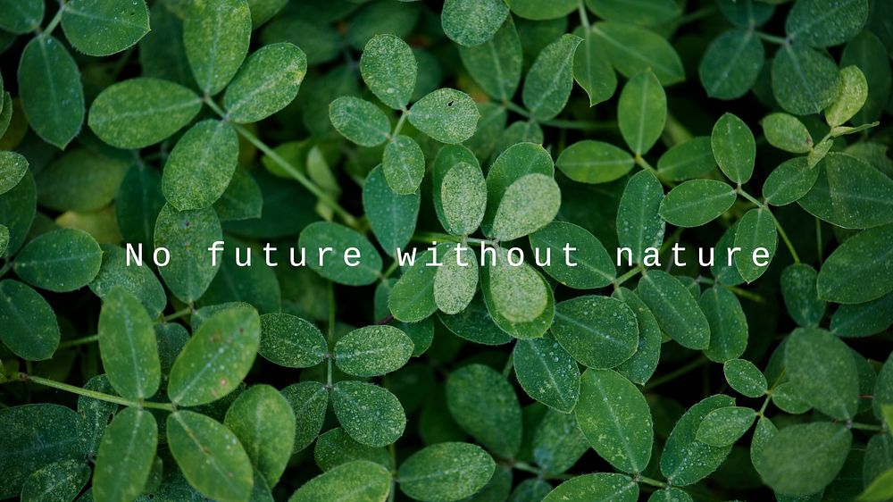 Nature  quote blog banner template