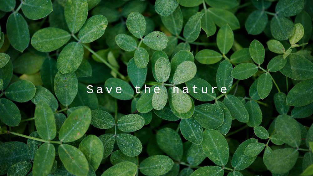 Save the nature quote blog banner template