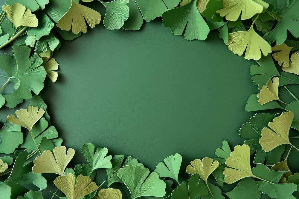 Green ginko leaves frame backgrounds outdoors nature.