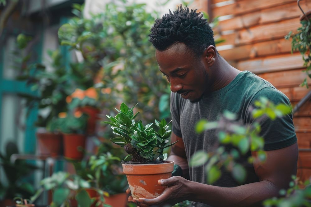 Black man taking care of a plant pot outdoors garden gardening.