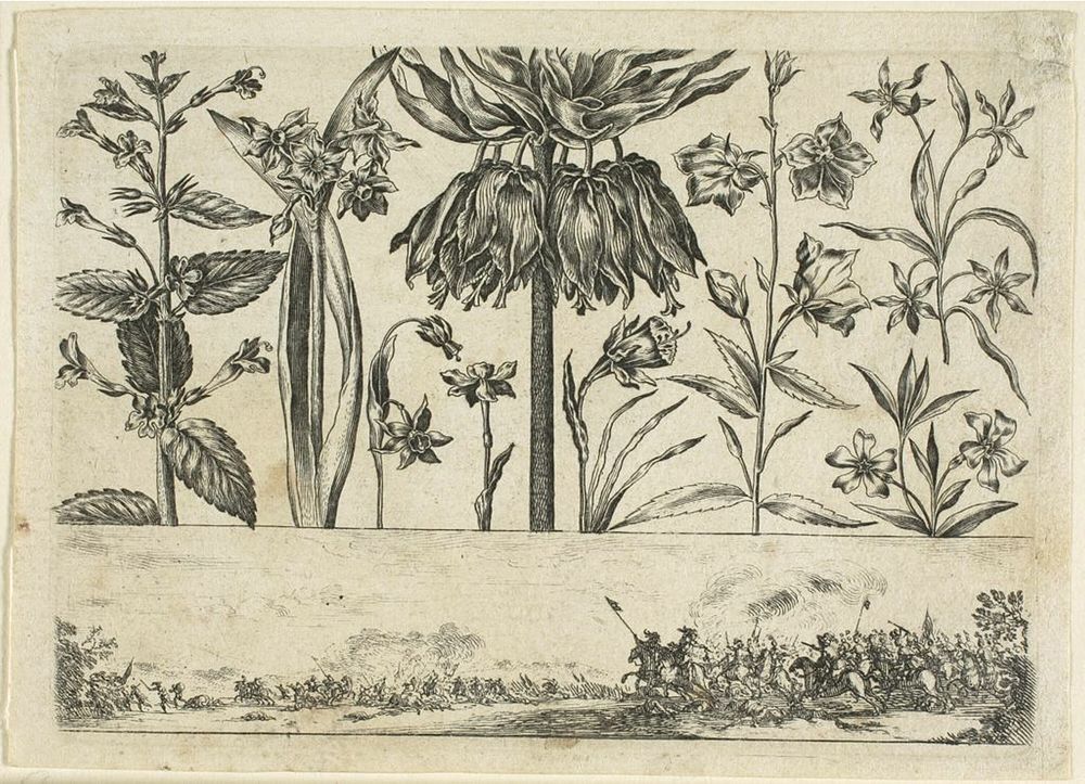 Flowers and Battle Scene, from Livre Nouveau de Fleurs... by Nicolas Cochin