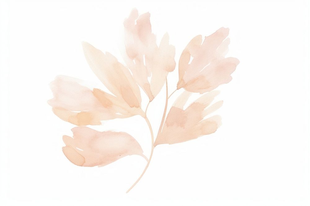 Dried flower graphics painting pattern.
