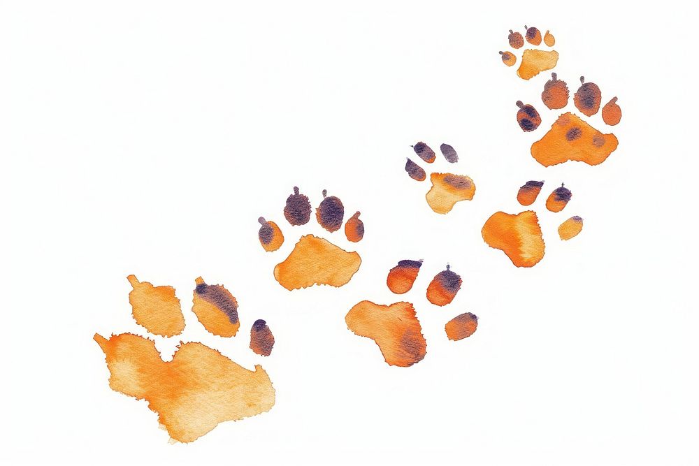 Cat paw print footprint stain.