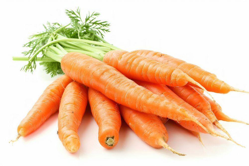 Carrots carrot invertebrate vegetable.