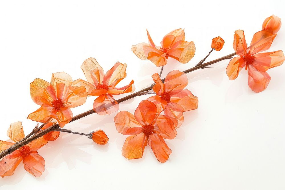 Orange flowers made from plastic accessories accessory blossom.