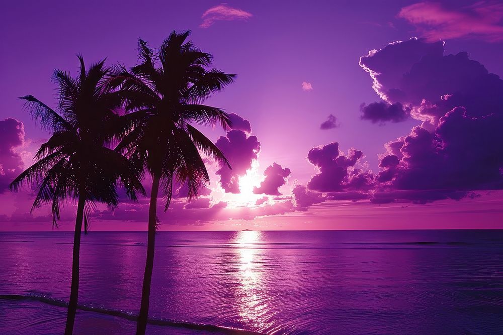 Landscape with palm trees purple sunset sky.