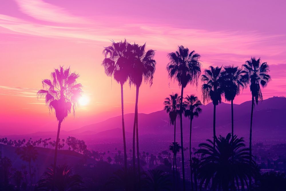 Landscape with palm trees sunset sky vegetation.