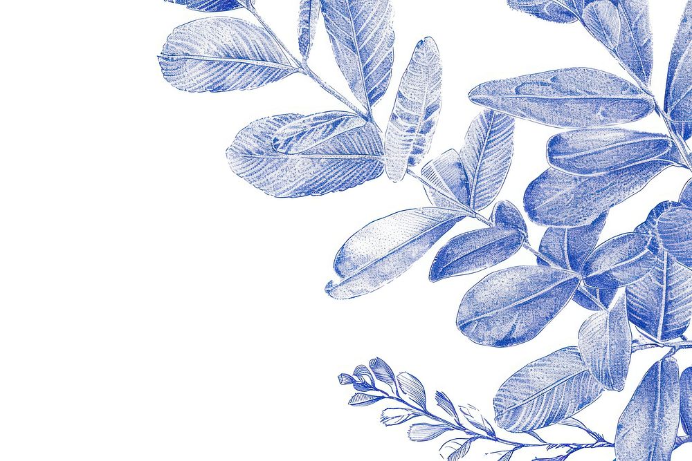 Vintage drawing zz plant leaves illustrated porcelain graphics.