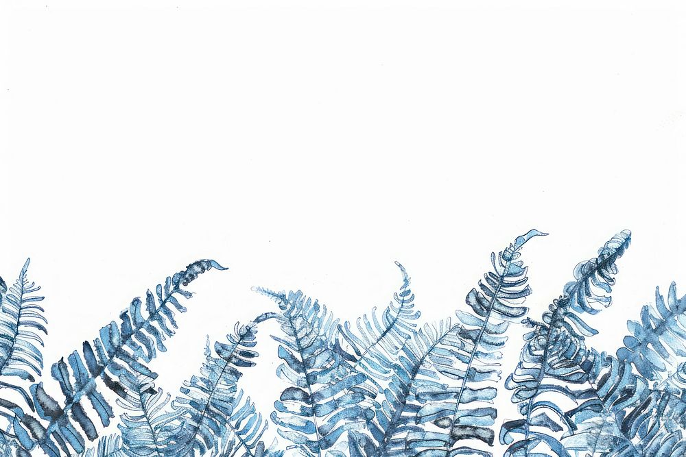 Vintage drawing boston fern leaves illustrated outdoors weather.