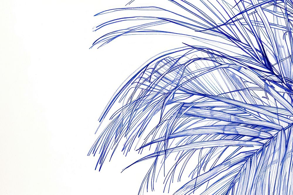 Vintage drawing ponytail palm leaves illustrated fireworks outdoors.