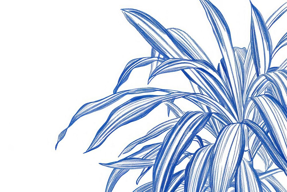 Vintage drawing spider plant leaves illustrated graphics pattern.