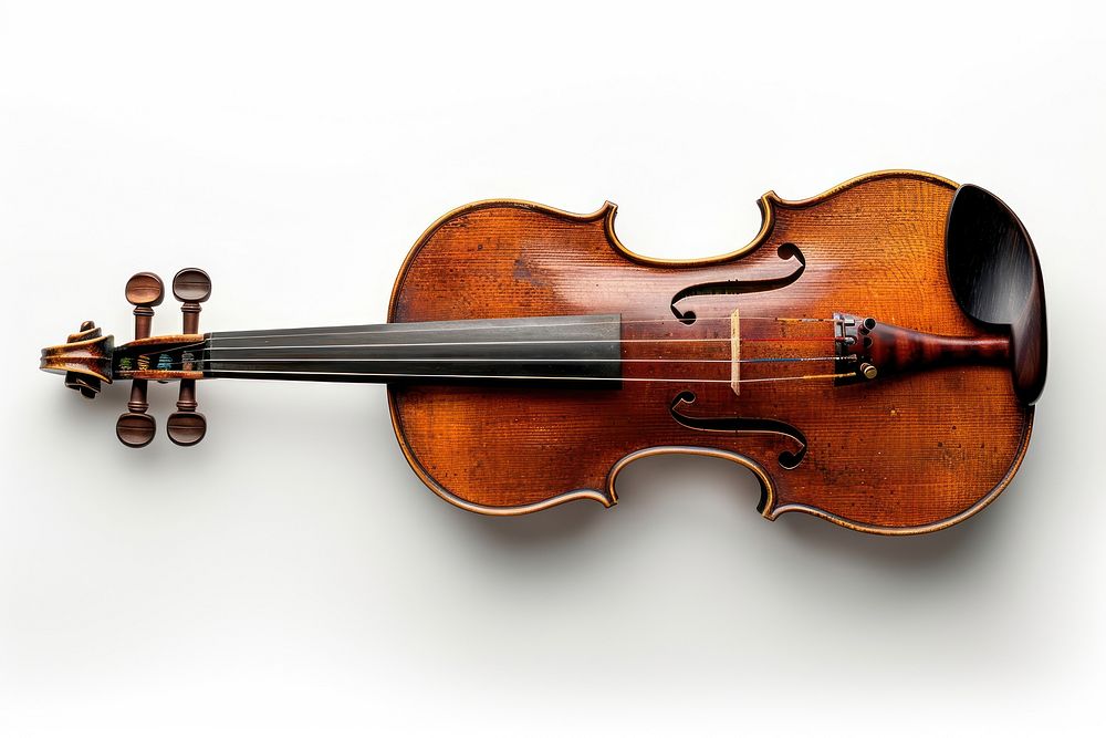 Violin fiddle viola musical instrument.