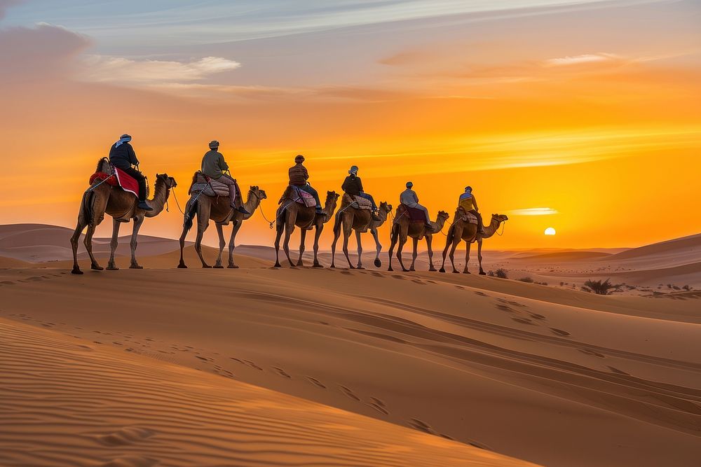 People riding on camels desert outdoors nature.