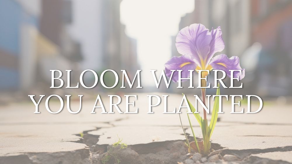 Bloom where you are planted quote blog banner template