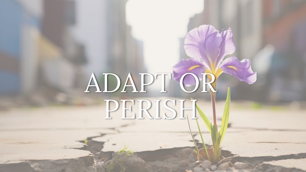 Adapt or perish quote blog banner template