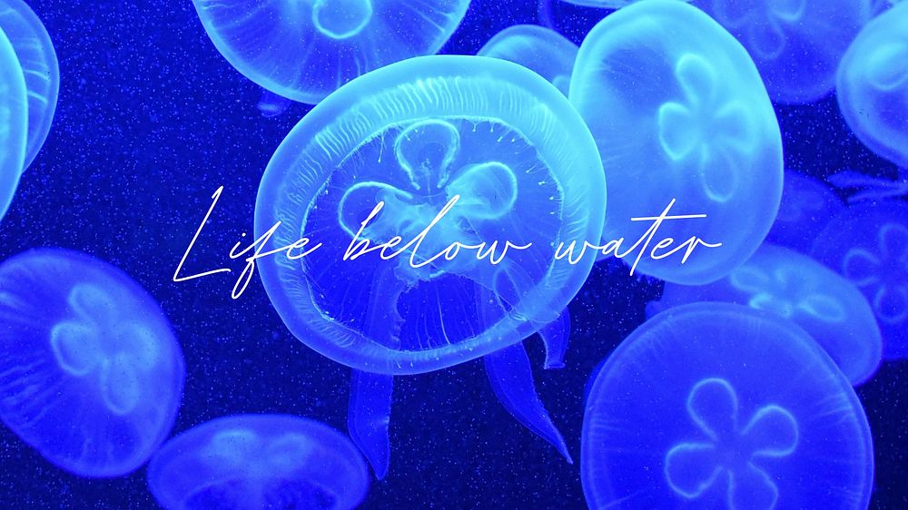 Life below water quote blog banner template