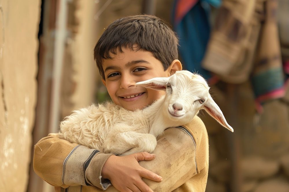 Boy holding a baby goat livestock person animal.