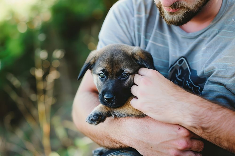 Man holding a puppy photography portrait mammal.