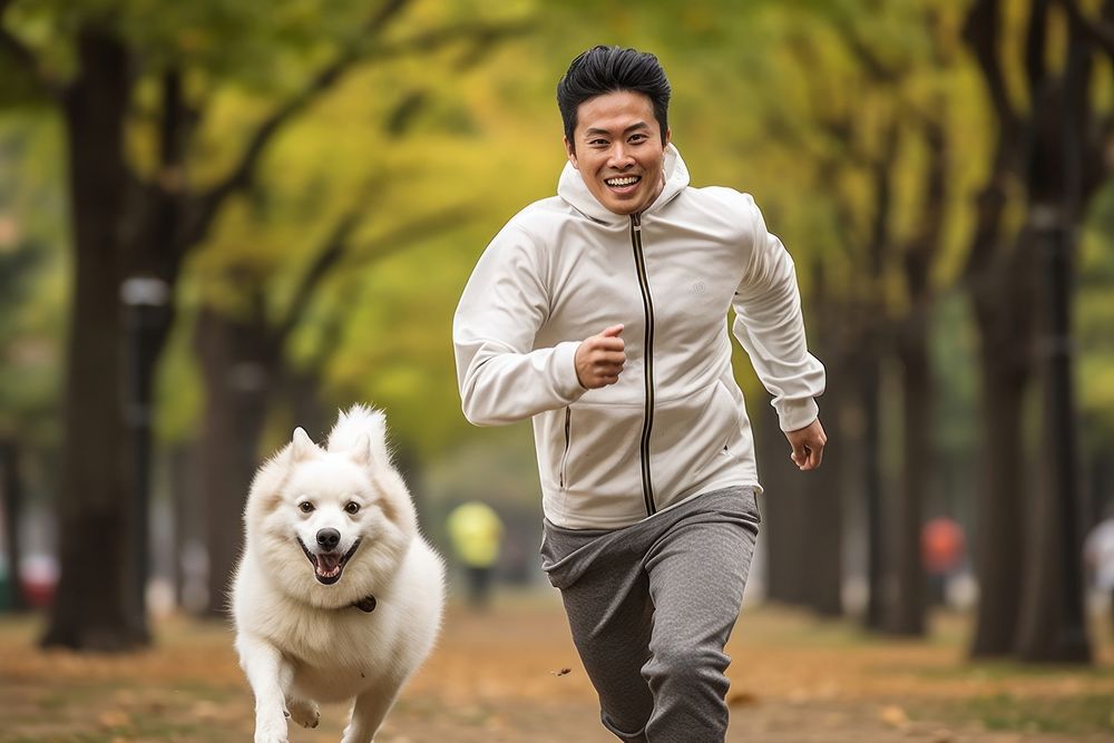 East Asian mature running dog pet.