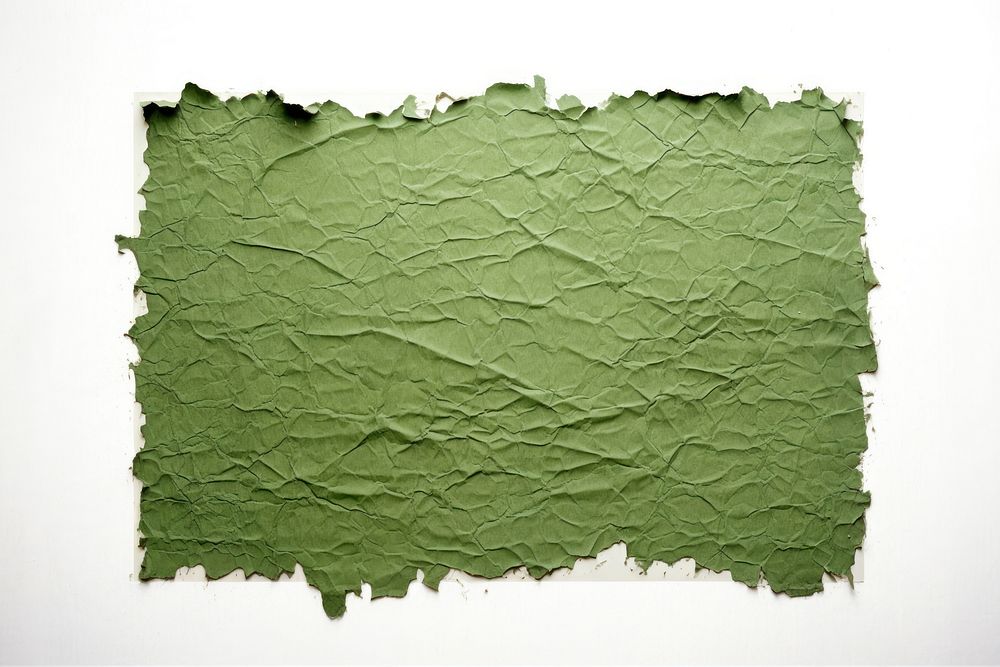 Paper texture green blackboard plant.