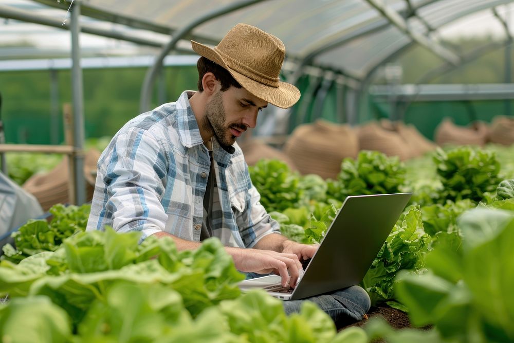 Male farmer using laptop vegetable male electronics.