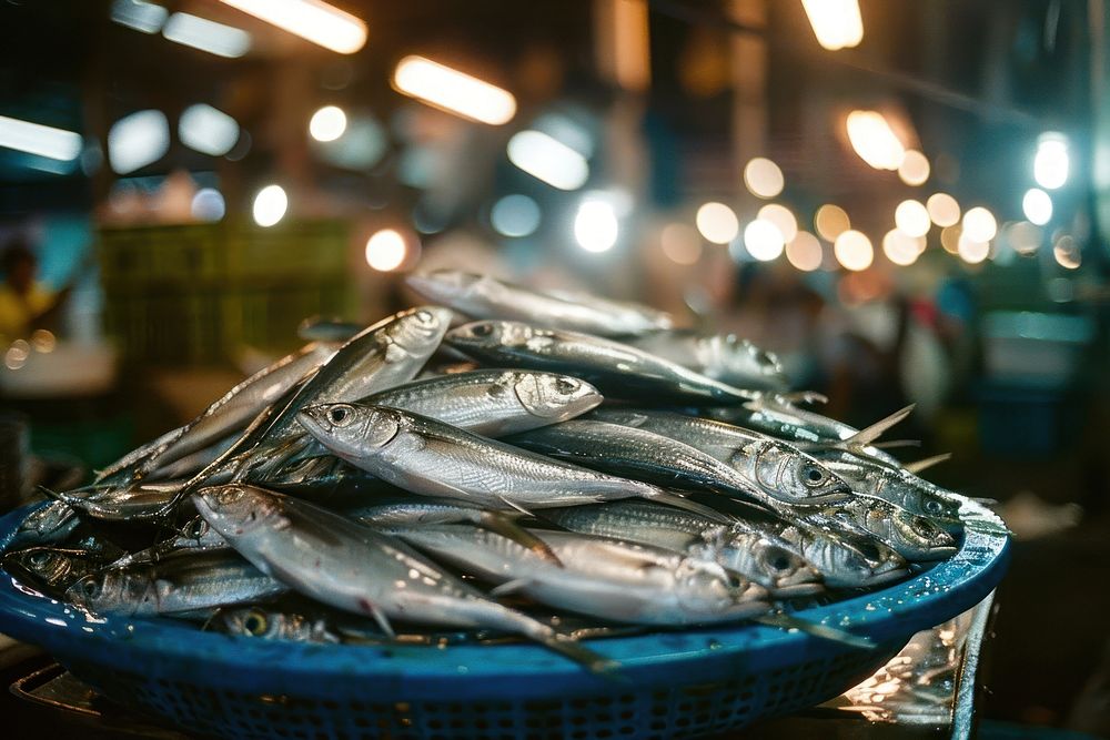 Fish market in Thailand herring sardine person.