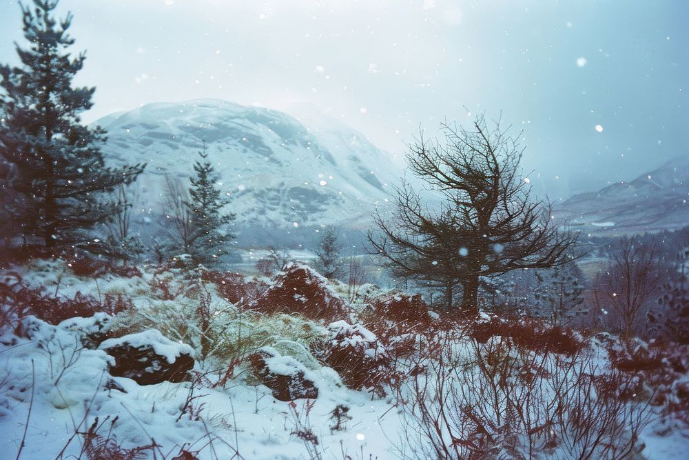 Scotland landscape in winter vegetation wilderness outdoors.