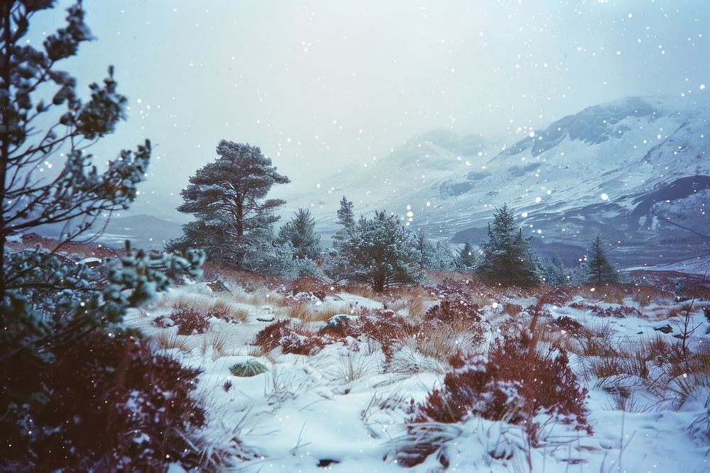 Scotland landscape in winter wilderness vegetation outdoors.